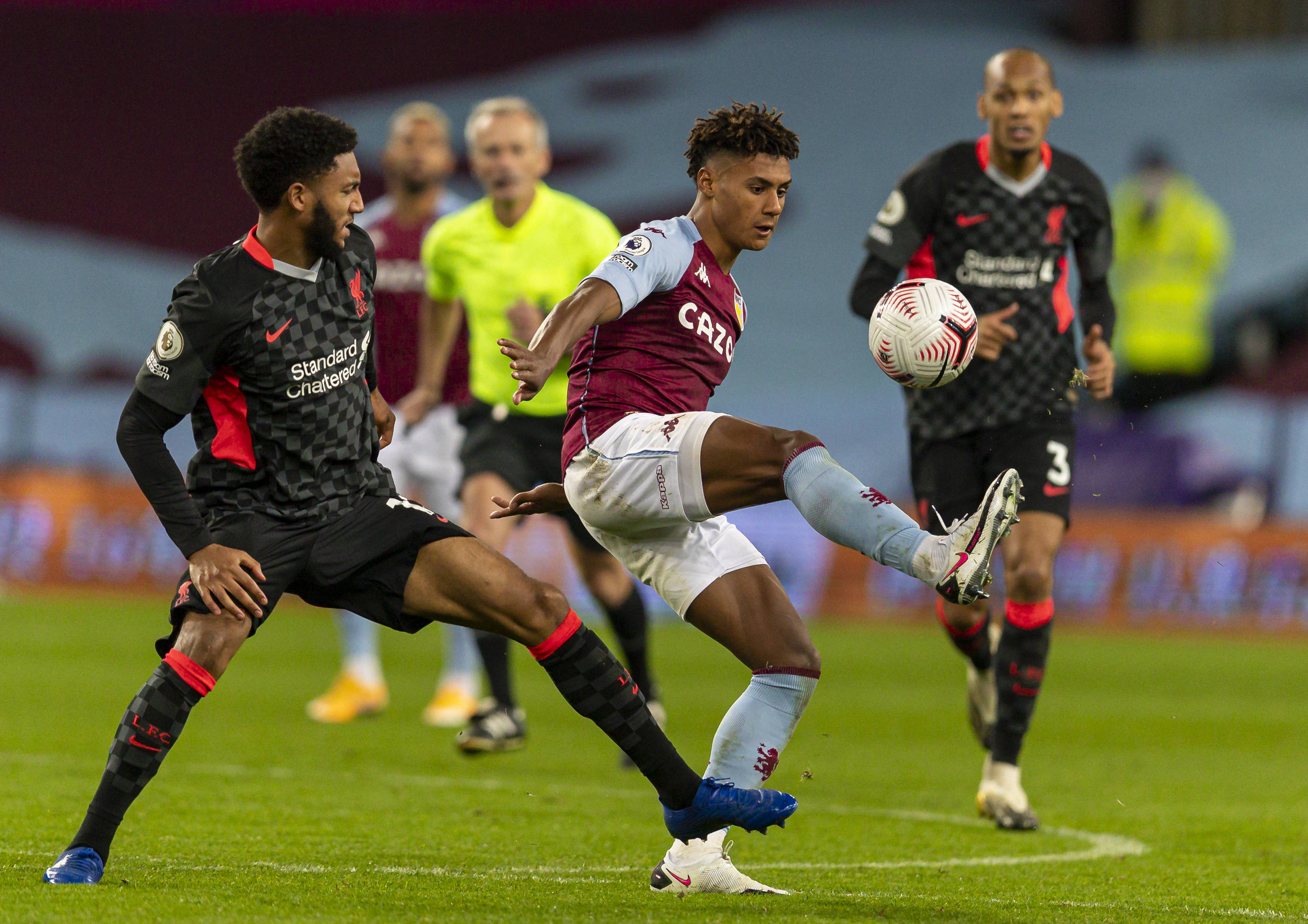 他们不仅 他们不仅