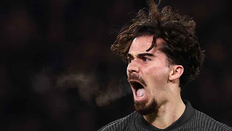 案例分析 案例分析